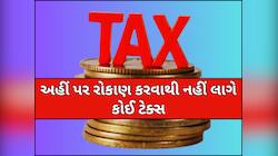 અહીં રૂપિયા લગાવશો તો છપ્પડફાડ થશે કમાણી! કોઈ કાપી નહીં શકે Income Tax