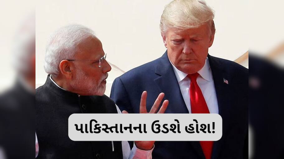 પહલગામ હુમલા બાદ અમેરિકા પણ આકરા પાણીએ, ભારતના સમર્થનમાં આપ્યું મોટું નિવેદન