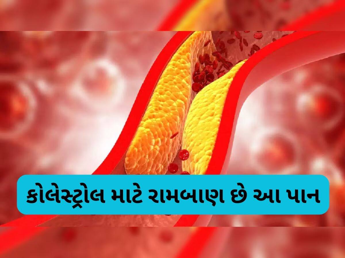 આ સસ્તા લીલા પાંદડાથી કોલેસ્ટ્રોલ થઈ જશે કંટ્રોલ, જાણો કઈ રીતે કરશો સેવન