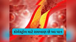 આ સસ્તા લીલા પાંદડાથી કોલેસ્ટ્રોલ થઈ જશે કંટ્રોલ, જાણો કઈ રીતે કરશો સેવન