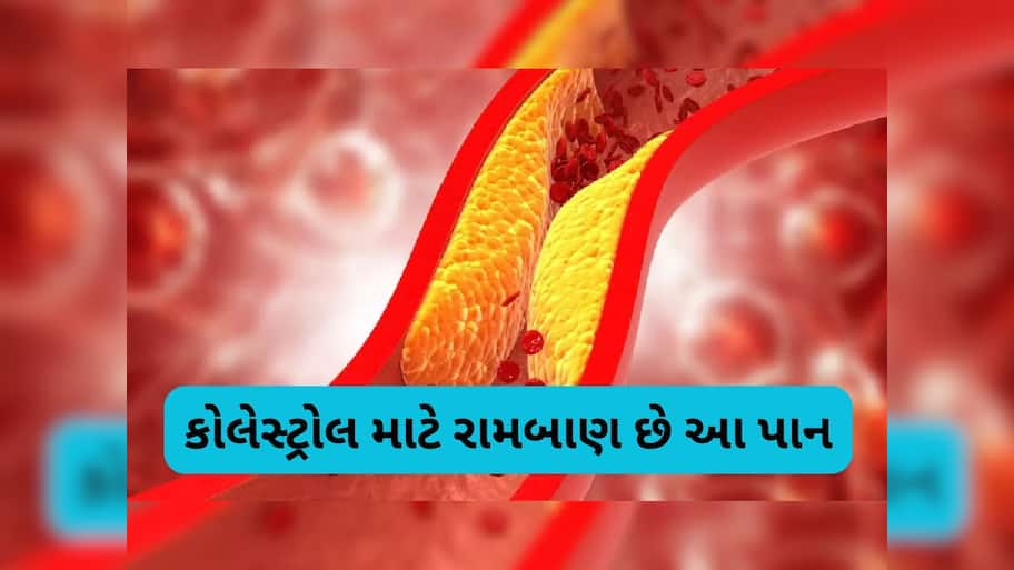 આ સસ્તા લીલા પાંદડાથી કોલેસ્ટ્રોલ થઈ જશે કંટ્રોલ, જાણો કઈ રીતે કરશો સેવન
