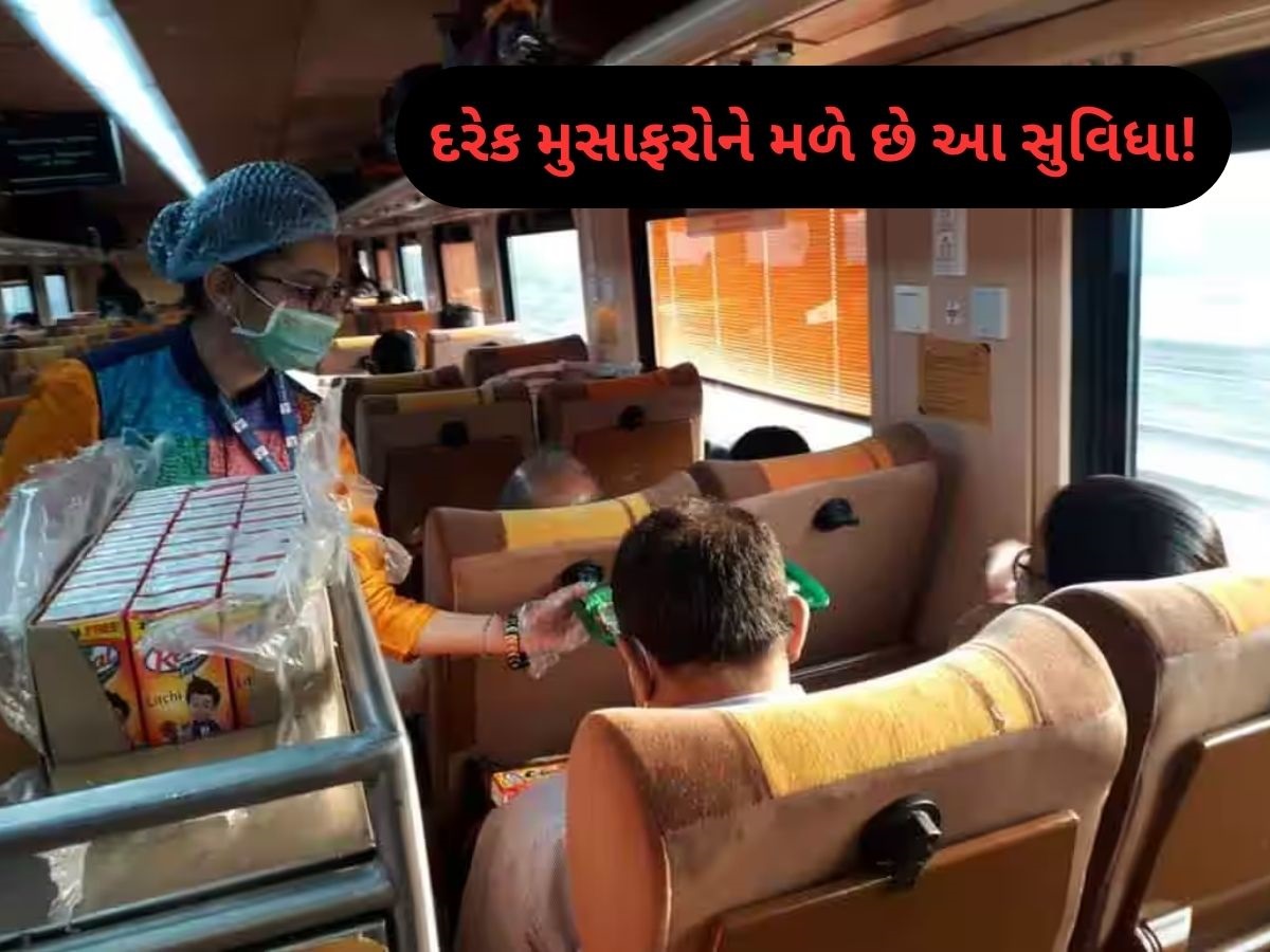 મફત! મફત! મફત! શું તમે ટ્રેનમાં મુસાફરી કરો છો? તો રેલવેમાં મળતી આ ફ્રી સુવિધા વિશે જાણી લો મફત! મફત! મફત! શું તમે ટ્રેનમાં મુસાફરી કરો છો? તો રેલવેમાં મળતી આ ફ્રી સુવિધા વિશે જાણી લો