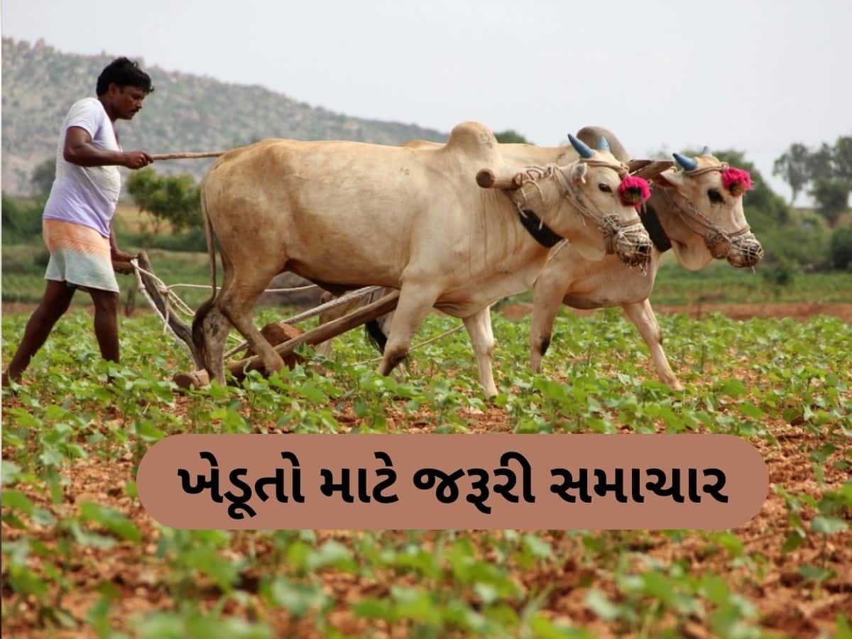  ખેડૂતોને આ કામ માટે સરકાર આપશે સહાય, 31 મે સુધી કરો અરજી, જાણો સંપૂર્ણ વિગત