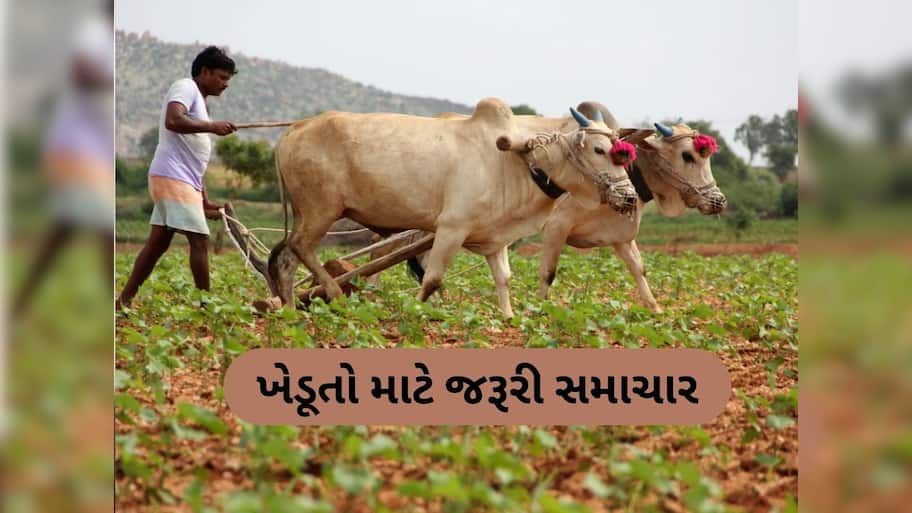  ખેડૂતોને આ કામ માટે સરકાર આપશે સહાય, 31 મે સુધી કરો અરજી, જાણો સંપૂર્ણ વિગત