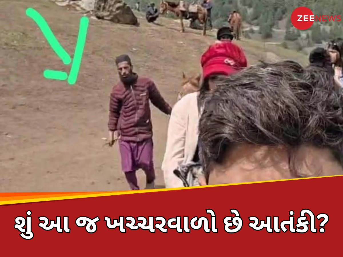 તો શું ખચ્ચર ચાલક જ હતો આતંકી? મહિલાના દાવાથી પહેલગામ આતંકી હુમલામાં આવ્યો નવો વળાંક! તો શું ખચ્ચર ચાલક જ હતો આતંકી? મહિલાના દાવાથી પહેલગામ આતંકી હુમલામાં આવ્યો નવો વળાંક!