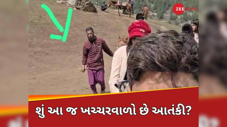 તો શું ખચ્ચર ચાલક જ હતો આતંકી? મહિલાના દાવાથી પહેલગામ આતંકી હુમલામાં આવ્યો નવો વળાંક!