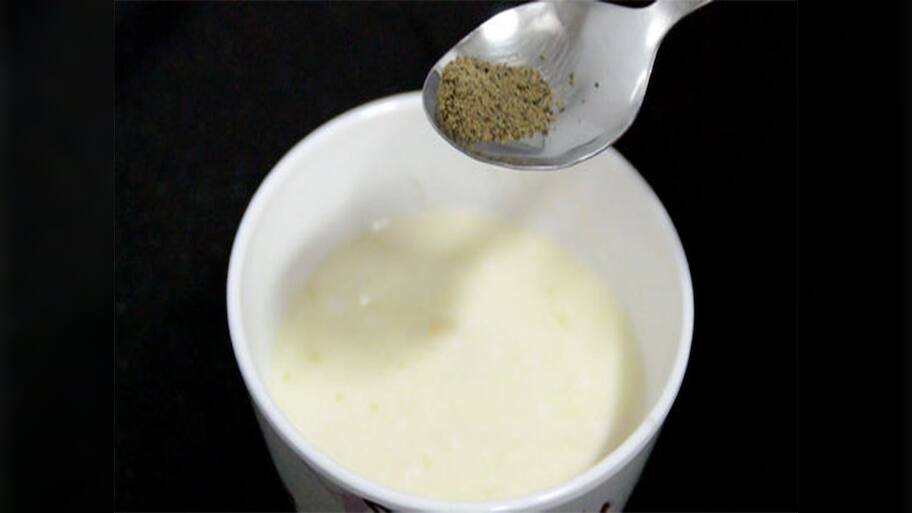 Curd for Weight Loss: દહીંમાં આ 2 વસ્તુ મિક્સ કરી રોજ ખાવા લાગો, શરીરમાં જામેલું વધારાનું ફેટ ઝડપથી ઓછું થશે
