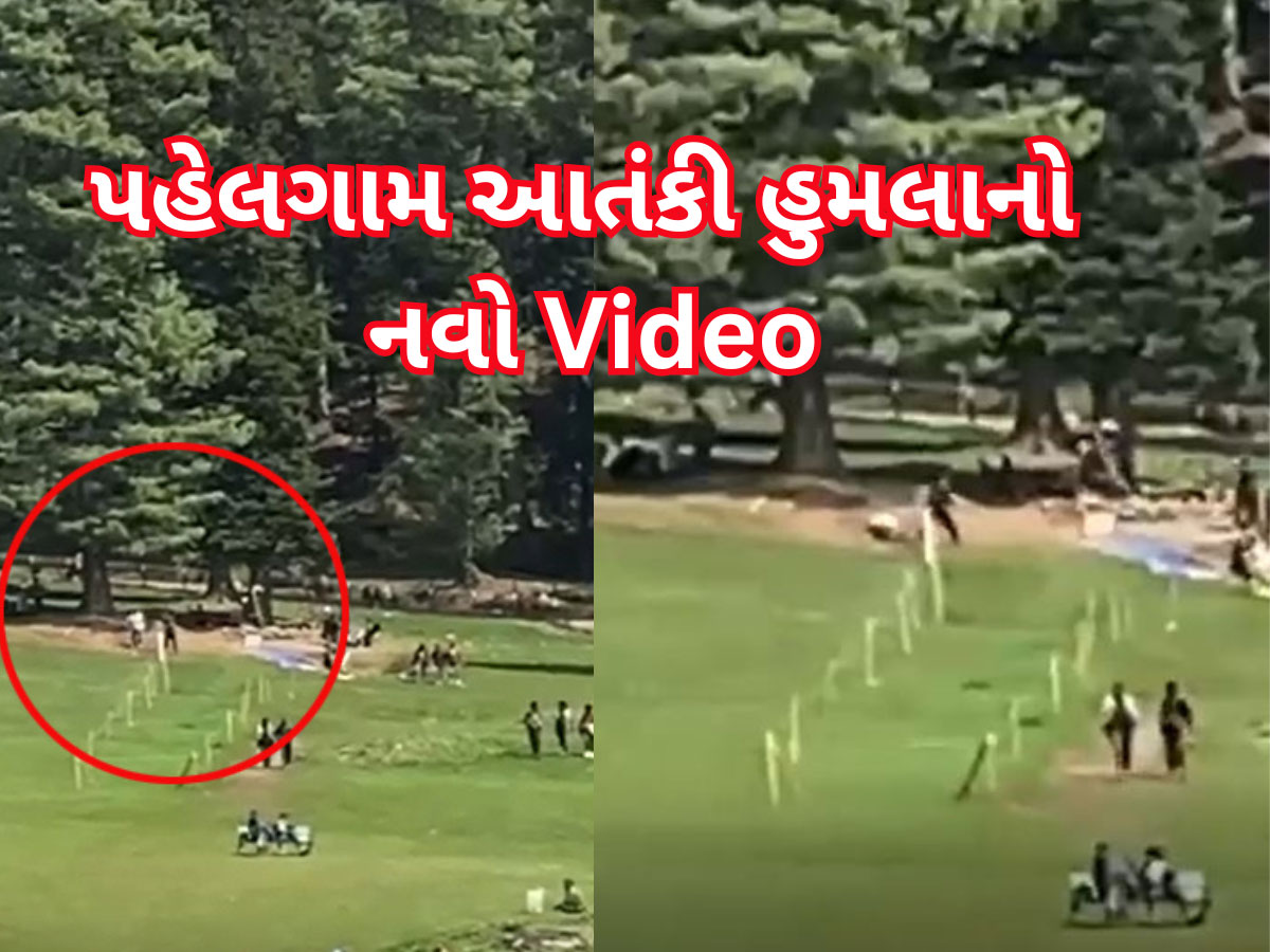 Pahalgam Attack Video: પહેલગામ આતંકી હુમલાનો નવો Video આવ્યો સામે, જંગલમાંથી આવ્યા અને મચાવી દીધી કત્લેઆમ Pahalgam Attack Video: પહેલગામ આતંકી હુમલાનો નવો Video આવ્યો સામે, જંગલમાંથી આવ્યા અને મચાવી દીધી કત્લેઆમ