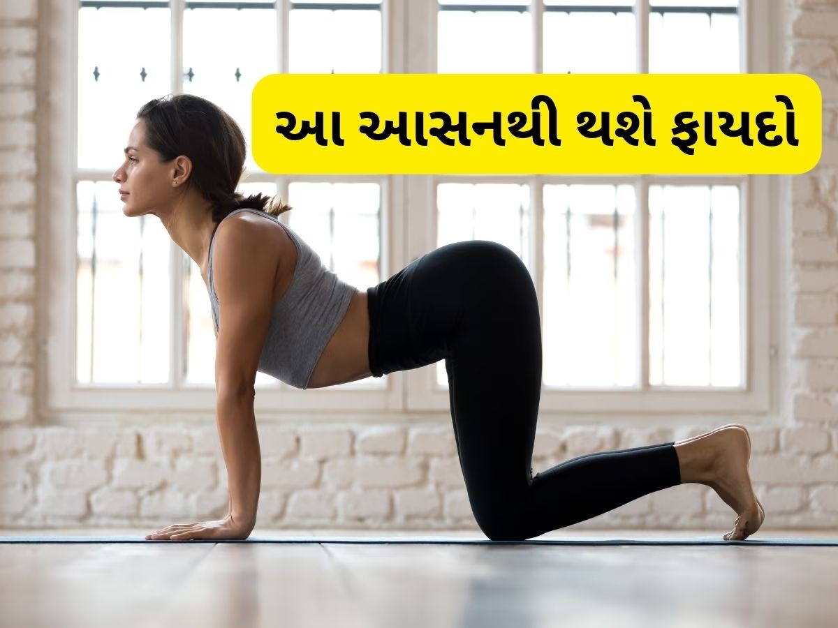 Yoga For Back Pain: કમર દુખાવાથી રાહત મેળવવાની સરળ ટિપ્સ, આ 3 યોગાસન કરશે તમારી દરેક સમસ્યા દૂર Yoga For Back Pain: કમર દુખાવાથી રાહત મેળવવાની સરળ ટિપ્સ, આ 3 યોગાસન કરશે તમારી દરેક સમસ્યા દૂર