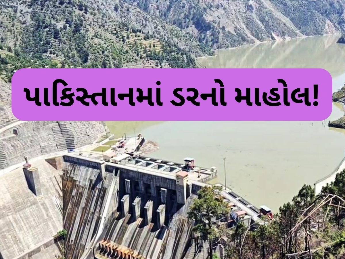 'આ વિસ્તાર રણમાં ફેરવાઈ જશે, અમે ભૂખે મરી જઈશું', સિંધુ જળ સંધિ સમાપ્ત થવાથી રડી રહ્યું છે પાકિસ્તાન