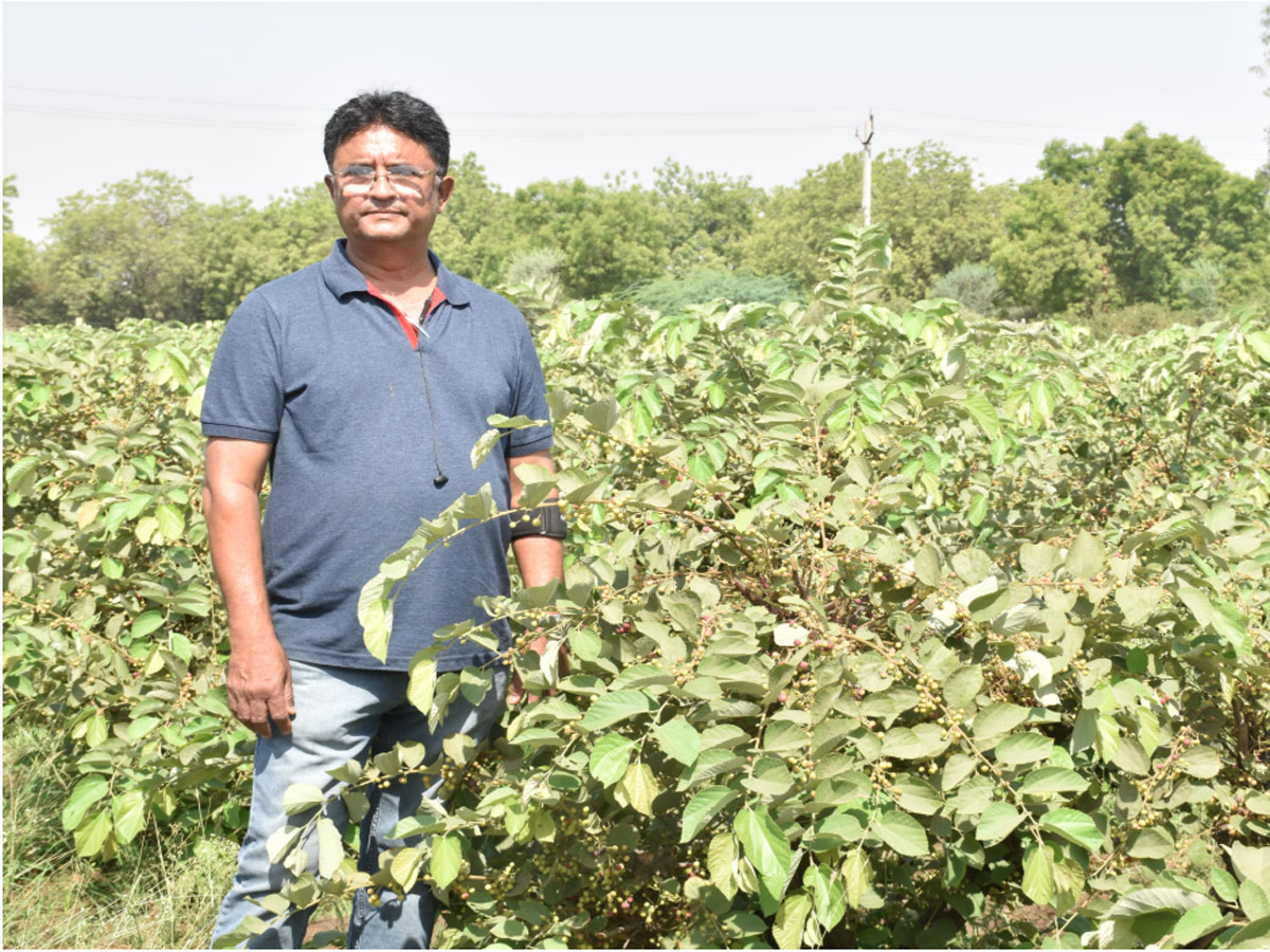 એક મહિનામાં આઠ લાખનો ચોખ્ખો નફો, એક ફ્રુટનું પલ્પ વેચીને ખૂબ કમાયા ગુજરાતના આ ખેડૂત