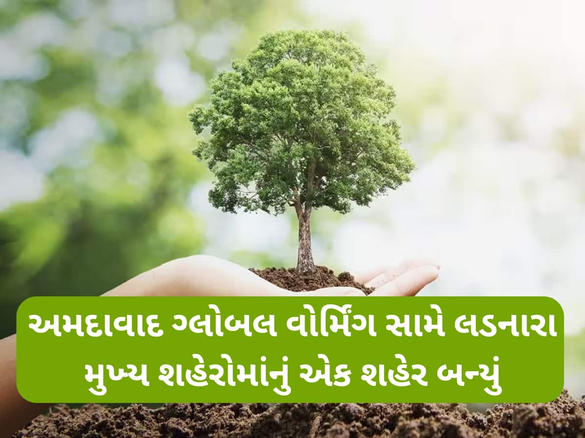 અમદાવાદ બન્યું લીલુંછમ! છેલ્લાં ત્રણ વર્ષમાં 70 લાખથી વધુ વૃક્ષોનું વૃક્ષોરોપણ, ગ્રીન કવર 8.4 ચોરસ કિલોમીટર થયું