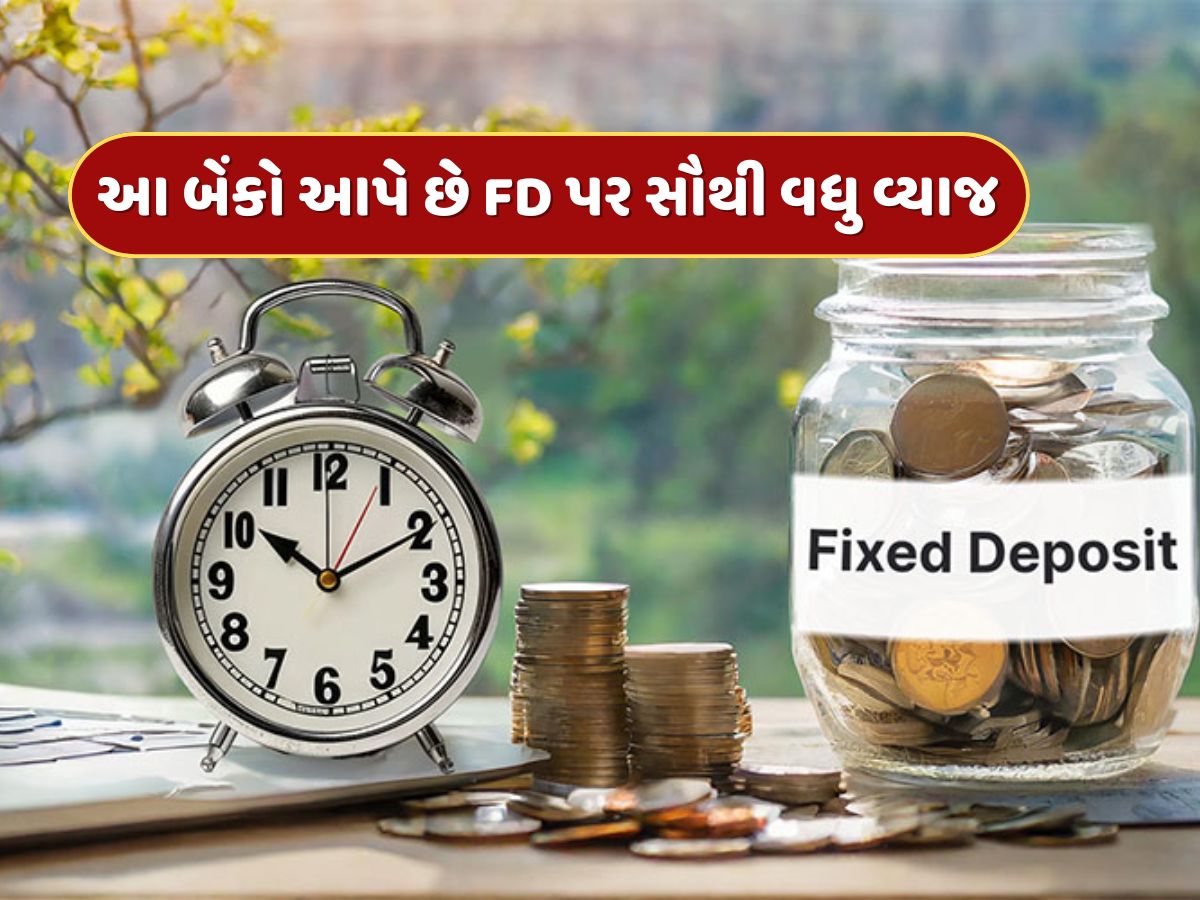 નાની બેંકોનો મોટો ધમાકો...ફિક્સ ડિપોઝિટ પર આપી રહી છે 9 ટકાથી વધુ વ્યાજ નાની બેંકોનો મોટો ધમાકો...ફિક્સ ડિપોઝિટ પર આપી રહી છે 9 ટકાથી વધુ વ્યાજ