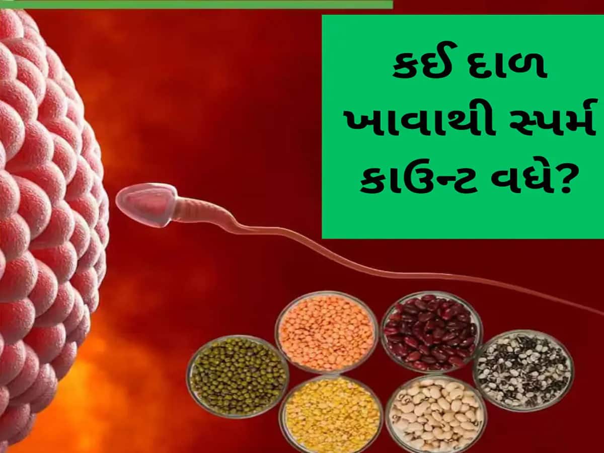 Sperm Count: સ્પર્મ કાઉન્ટ વધારવા માટે કઈ દાળ ખાવી જોઈએ? આ દાળમાં હોય છે કામોત્તેજક ગુણો, થાય છે મદદરૂપ