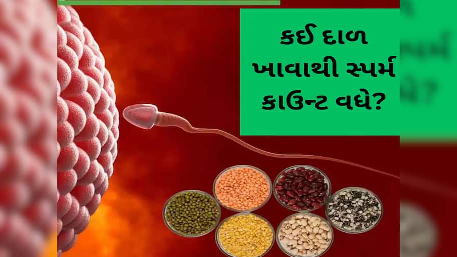 Sperm Count: સ્પર્મ કાઉન્ટ વધારવા માટે કઈ દાળ ખાવી જોઈએ? આ દાળમાં હોય છે કામોત્તેજક ગુણો, થાય છે મદદરૂપ