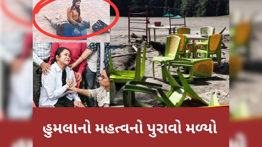 Pahalgam Attack: પહેલગામમાં હનીમૂન વીડિયો બનાવતા ફોટોગ્રાફરે કર્યો ચોંકાવનારો ખુલાસો, ઝાડ પર ચડીને બનાવી હતી હુમલાની રીલ