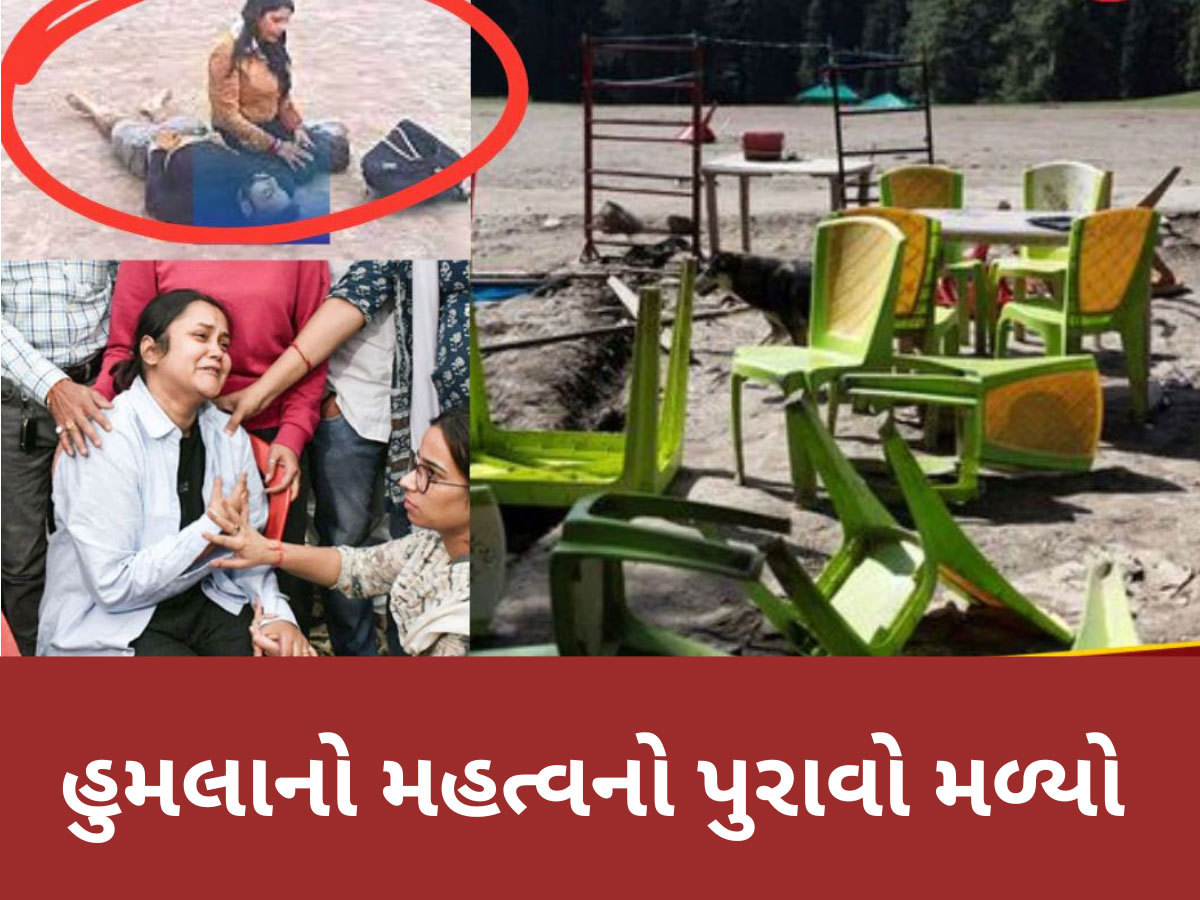 Pahalgam Attack: પહેલગામમાં હનીમૂન વીડિયો બનાવતા ફોટોગ્રાફરે કર્યો ચોંકાવનારો ખુલાસો, ઝાડ પર ચડીને બનાવી હતી હુમલાની રીલ Pahalgam Attack: પહેલગામમાં હનીમૂન વીડિયો બનાવતા ફોટોગ્રાફરે કર્યો ચોંકાવનારો ખુલાસો, ઝાડ પર ચડીને બનાવી હતી હુમલાની રીલ