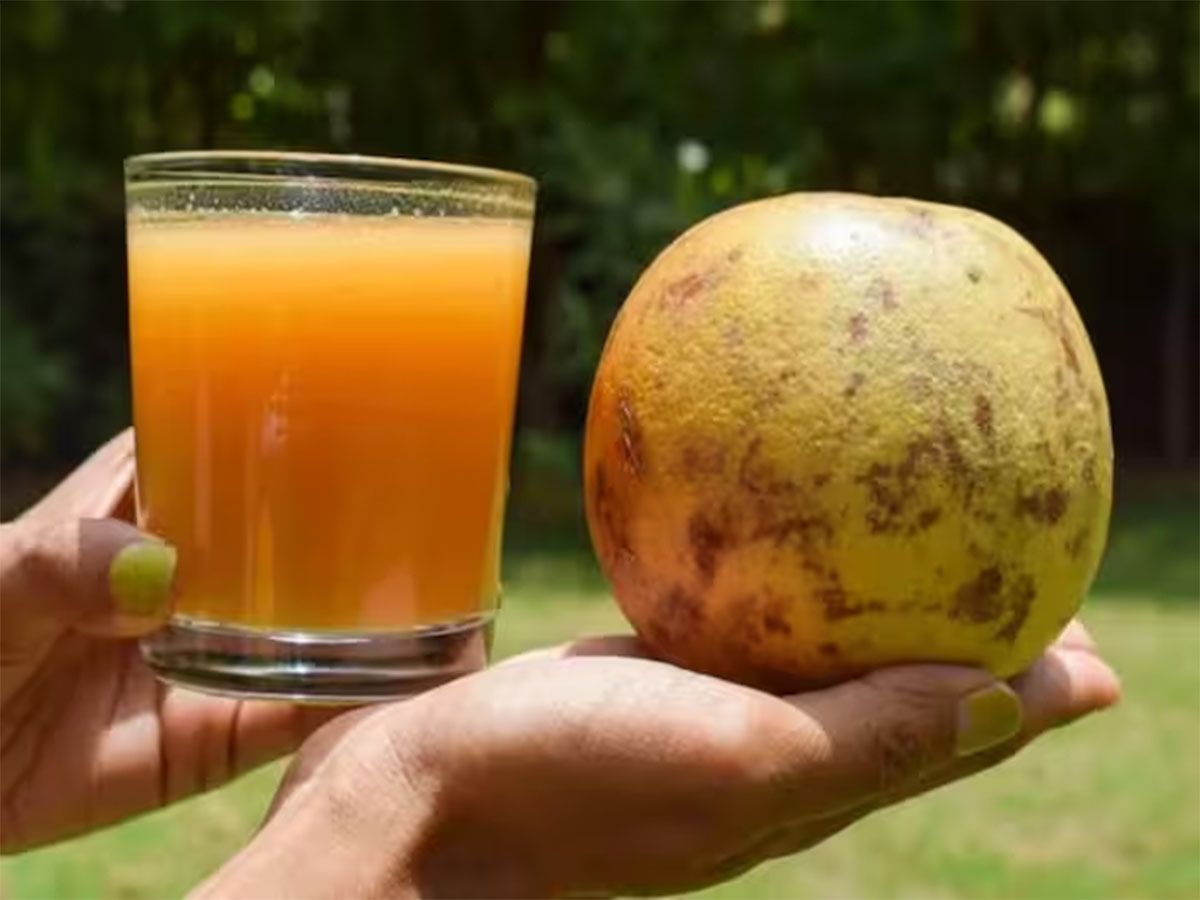 Special Sharbat: આ 5 શરબત ઝડપથી વધારે છે કોલેજન લેવલ, શરીરને ઠંડક મળશે અને સ્કિન પણ દેખાશે ગ્લોઈંગ