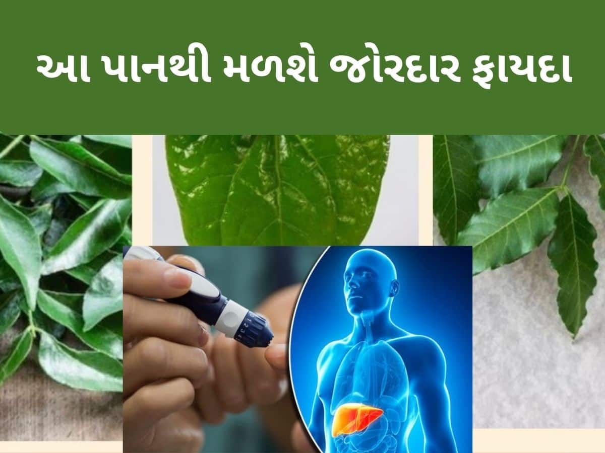 રોજ સવારે ખાલી પેટ આ પાન ચાવો, ડાયાબિટીસ અને કોલેસ્ટ્રોલ જેવી સમસ્યાઓથી મળશે તરત રાહત