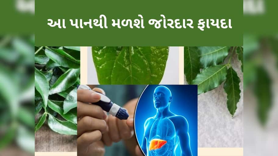 રોજ સવારે ખાલી પેટ આ પાન ચાવો, ડાયાબિટીસ અને કોલેસ્ટ્રોલ જેવી સમસ્યાઓથી મળશે તરત રાહત
