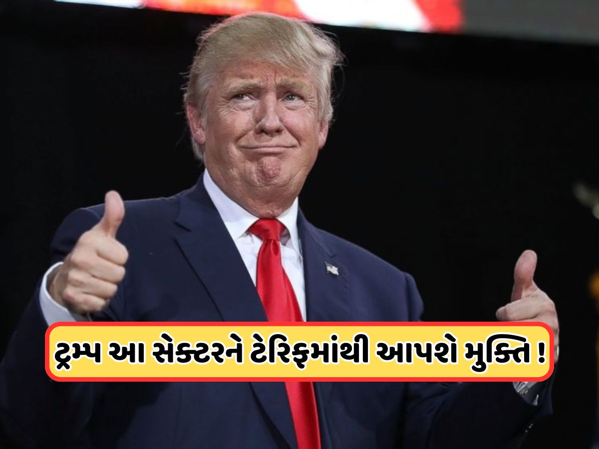 ટ્રમ્પ ટેરિફથી આ સેક્ટરને મળશે રાહત! ભારતીય કંપનીઓના આ શેર બન્યા રોકેટ
