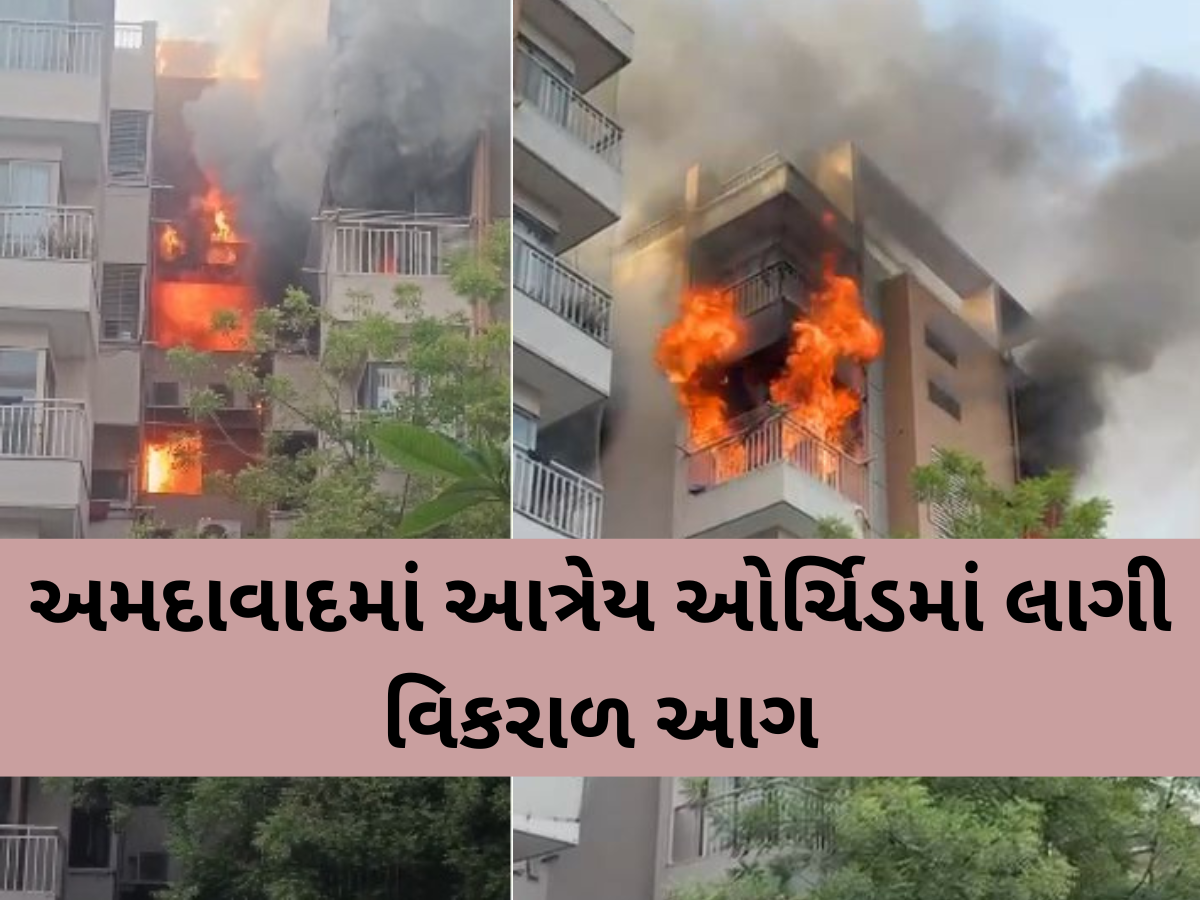અમદાવાદમાં ફરી આગની ઘટના આવી સામે, આત્રેય ઓર્ચિડમાં આગ લાગતા 25થી વધુ લોકોનું રેસ્ક્યુ; 5ને હોસ્પિટલ ખસેડાયા અમદાવાદમાં ફરી આગની ઘટના આવી સામે, આત્રેય ઓર્ચિડમાં આગ લાગતા 25થી વધુ લોકોનું રેસ્ક્યુ; 5ને હોસ્પિટલ ખસેડાયા