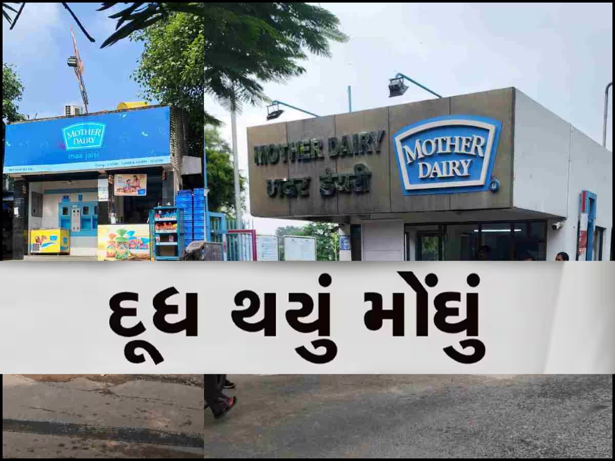 સામાન્ય માણસને વધુ એક ઝટકો! દૂધ થયું મોંધું, કિંમતમાં પ્રતિ લિટર 2 રૂપિયાનો થયો વધારો