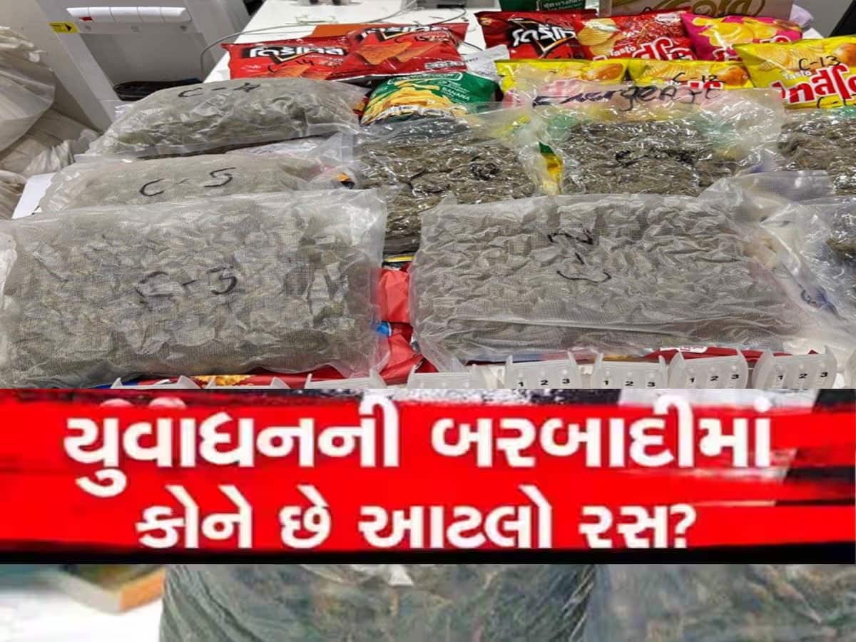 અમદાવાદ એરપોર્ટથી ઝડપાયો કરોડોનો હાઇડ્રોપોનિક ગાંજો, નશાનું હાઈગ્રેડ સ્વરૂપ છે આ ગાંજો 