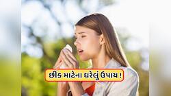 Health Tips: ઉનાળામાં છીંક આવવી કયા રોગના સંકેત? આ ઘરેલું ઉપાયથી મળશે રાહત 