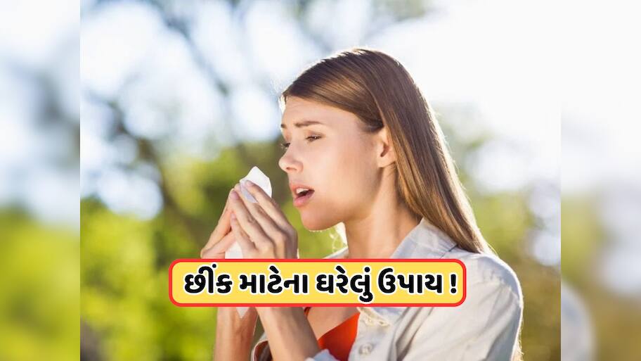Health Tips: ઉનાળામાં છીંક આવવી કયા રોગના સંકેત? આ ઘરેલું ઉપાયથી મળશે રાહત 