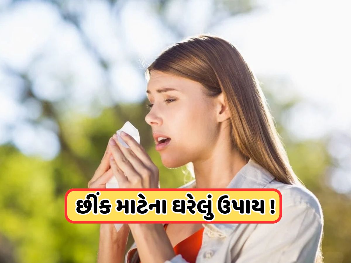 Health Tips: ઉનાળામાં છીંક આવવી કયા રોગના સંકેત? આ ઘરેલું ઉપાયથી મળશે રાહત Health Tips: ઉનાળામાં છીંક આવવી કયા રોગના સંકેત? આ ઘરેલું ઉપાયથી મળશે રાહત