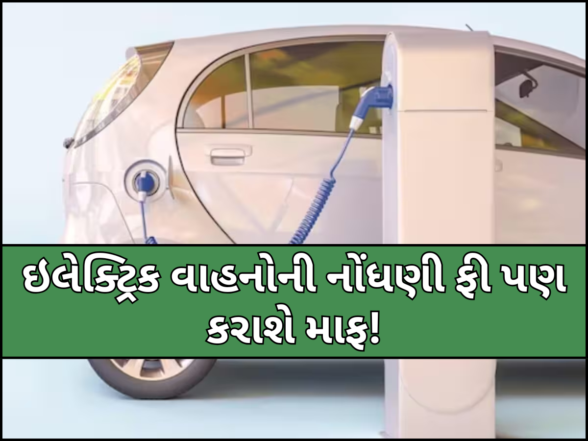 નવી EV પોલિસીને મળી મંજૂરી, 15 ટકા સબસિડીની સાથે ઘણા હાઈવે ટોલ Free! 25KMના અંદરે મળશે ચાર્જિગની સુવિધા નવી EV પોલિસીને મળી મંજૂરી, 15 ટકા સબસિડીની સાથે ઘણા હાઈવે ટોલ Free! 25KMના અંદરે મળશે ચાર્જિગની સુવિધા