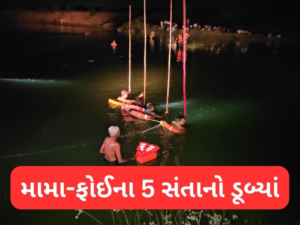 મહેમદાવાદની મેશ્વો નદીમાં ડૂબી જવાથી છ લોકોના મોત, નાહવા ગયા ત્યારે બની દુર્ઘટના મહેમદાવાદની મેશ્વો નદીમાં ડૂબી જવાથી છ લોકોના મોત, નાહવા ગયા ત્યારે બની દુર્ઘટના