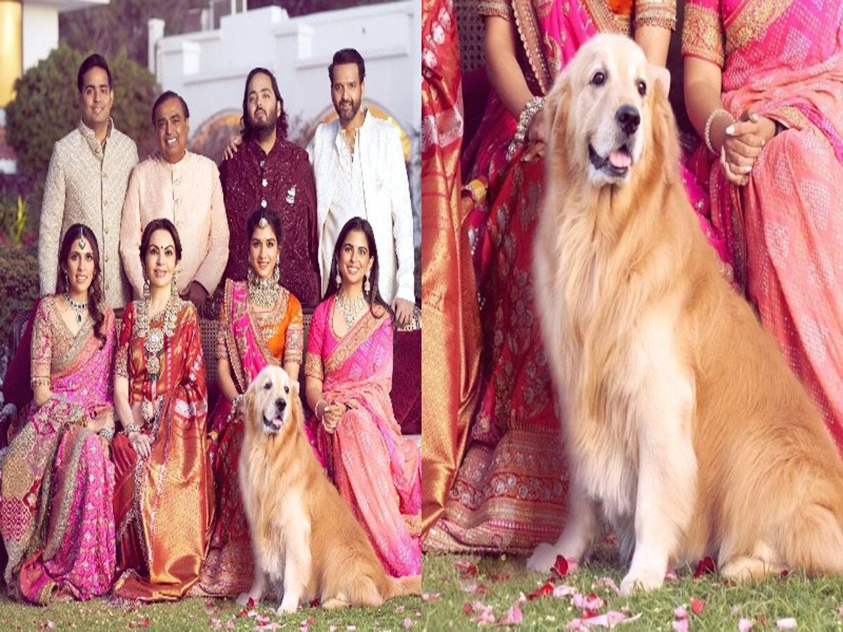 4 કરોડની ગાડીમા ફરતો અંબાણી પરિવારના જિગરનો ટુકડો હવે નથી રહ્યો, પરિવાર પર તૂટ્યો દુખનો પહાડ