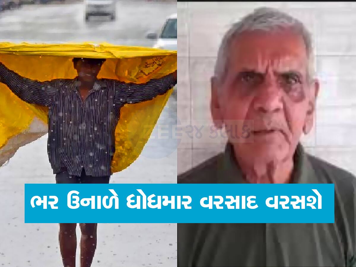 ભર ઉનાળે આંધી-વંટોળ સાથે આવશે વરસાદ, અંબાલાલ પટેલે જિલ્લાઓનું લિસ્ટ આપ્યું