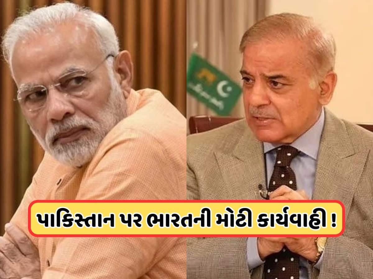 પાકિસ્તાની ક્રિકેટરો, કલાકારો પછી હવે પાકિસ્તાનના PM શાહબાઝ શરીફ પર ભારતની ડિજિટલ સ્ટ્રાઈક