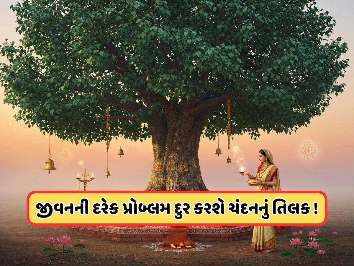 આ છોડ પર લગાવો ચંદનનું તિલક, મોટી મોટી સમસ્યાઓ પણ થઈ જશે દૂર !