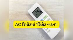 AC ના રિમોટમાં છુપાયેલું હોય છે વીજળી બિલ બચાવતું આ બટન, મોટાભાગના લોકો હોય છે અજાણ