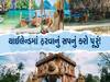 બીચ