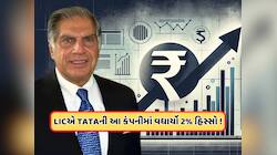 LICએ ટાટા ગ્રુપની આ કંપનીના ખરીદ્યા 250000000 શેર, ભાવ છે 200 રૂપિયાથી ઓછો