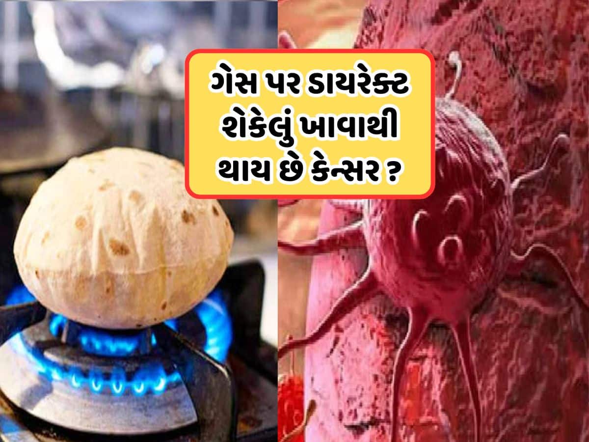શું ગેસ પર ડાયરેક્ટ શેકેલી રોટલી ખાવાથી થાય છે કેન્સર? જાણો એક્સપર્ટ શું કહે છે