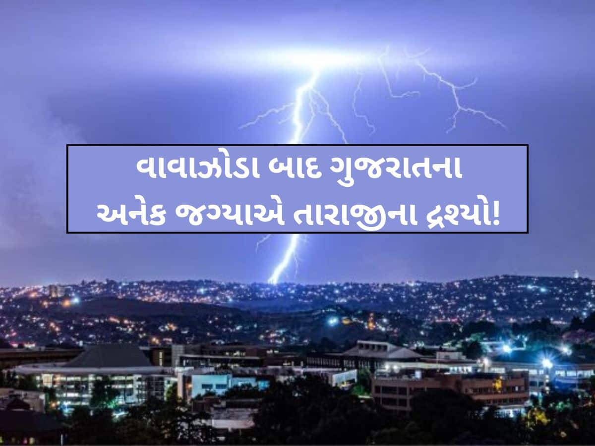 ગુજરાતમાં મોતનું માવઠું! આ જિલ્લાઓમાં કમોસમી વરસાદનો કહેર; 14 લોકો અને 26 પશુના મોત