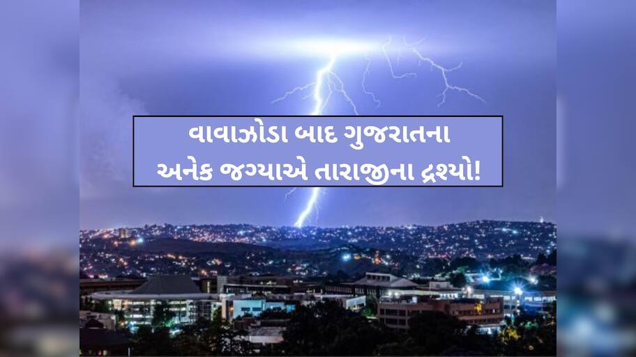 ગુજરાતમાં મોતનું માવઠું! આ જિલ્લાઓમાં કમોસમી વરસાદનો કહેર; 14 લોકો અને 26 પશુના મોત