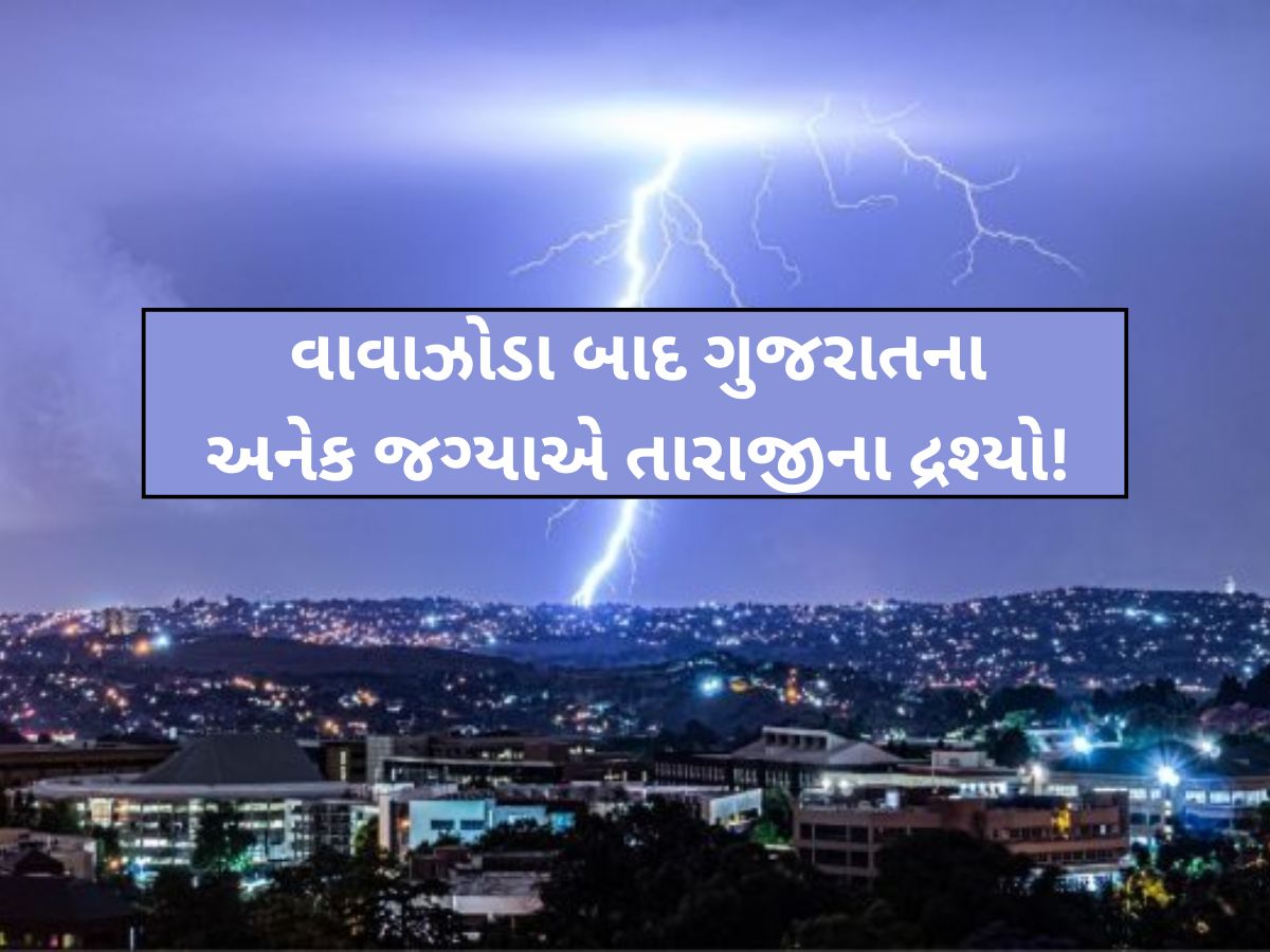ગુજરાતમાં મોતનું માવઠું! આ જિલ્લાઓમાં કમોસમી વરસાદનો કહેર; 14 લોકો અને 26 પશુના મોત ગુજરાતમાં મોતનું માવઠું! આ જિલ્લાઓમાં કમોસમી વરસાદનો કહેર; 14 લોકો અને 26 પશુના મોત