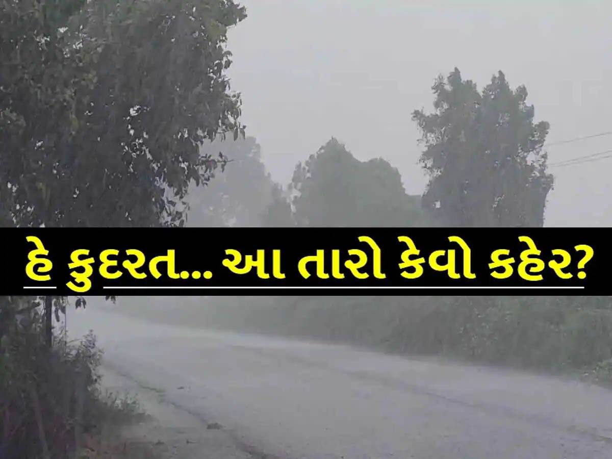 કમોસમી વરસાદે ખેડૂતોના મોઢામાં આવેલો કોળિયો છીનવ્યો! આ જિલ્લાના ખેડૂતોની વ્યથા જાણીને રોઈ જોશો!