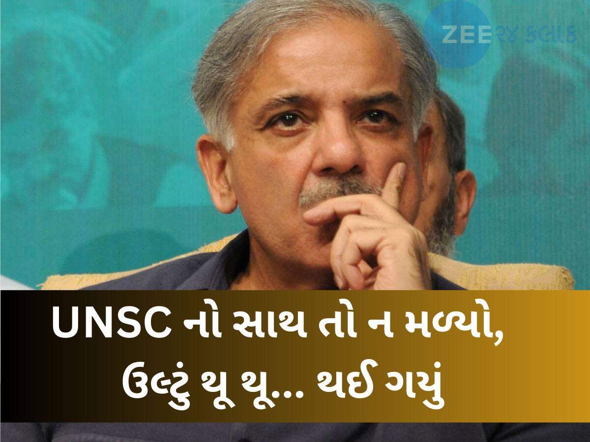 Pahalgam Attack: UNSCમાં પાકિસ્તાનની જબરદસ્ત ધોલાઈ, એવા સળગતા સવાલો પૂછ્યા...PAKના હોશ ઉડી ગયા