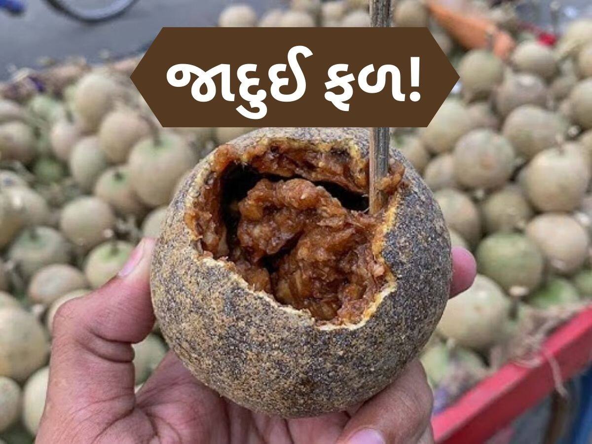 હાઈ કોલેસ્ટ્રોલ અને હરસ માટે રામબાણ છે આ 10 રૂપિયાનું દેશી ફળ, ડાયાબિટીસમાં પણ મળશે રાહત!