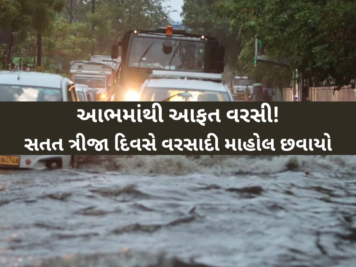 ગુજરાતના આ જિલ્લામાં આભ ફાટ્યું! કડાકા-ભડાકા સાથે પોણા 7 ઈંચ વરસાદ, જળબંબાકાર જેવી સ્થિતિ ગુજરાતના આ જિલ્લામાં આભ ફાટ્યું! કડાકા-ભડાકા સાથે પોણા 7 ઈંચ વરસાદ, જળબંબાકાર જેવી સ્થિતિ