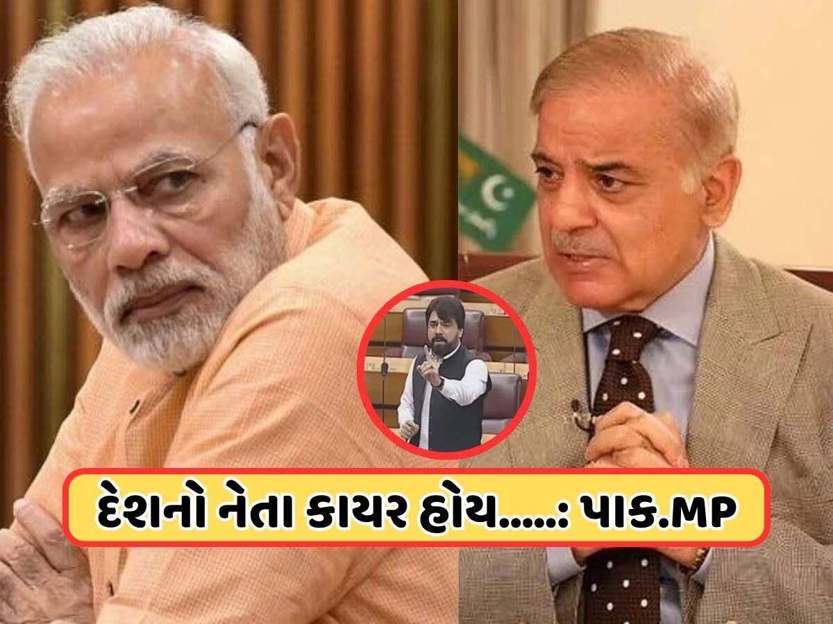 'મોદીનું નામ લેતા પણ ડરે છે...', પાકિસ્તાની સાંસદે શાહબાઝ શરીફને કહ્યા ડરપોક, જુઓ VIDEO