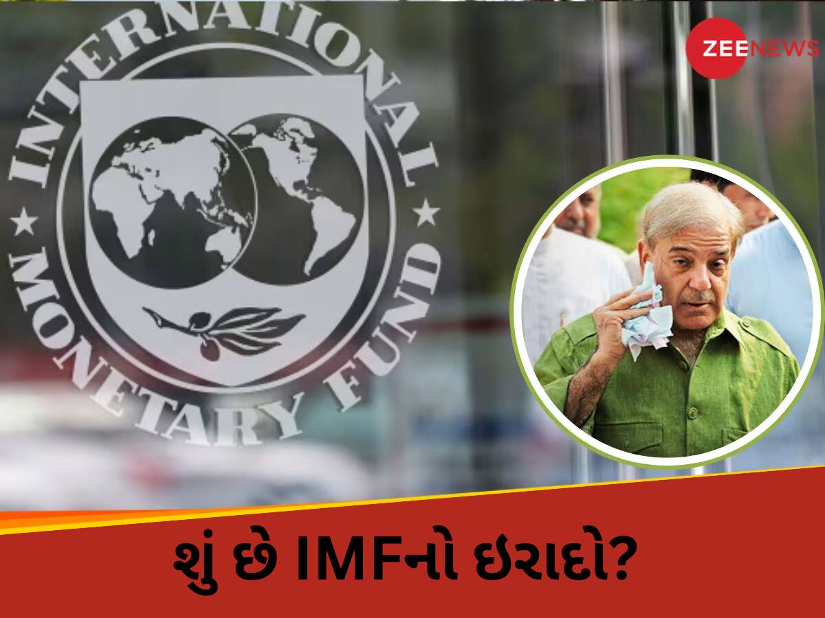 Explained: સરળ ભાષામાં સમજો, આતંકવાદીઓને છાવરનાર પાકિસ્તાનને હવે IMFએ કેમ આપ્યા 8500 કરોડ